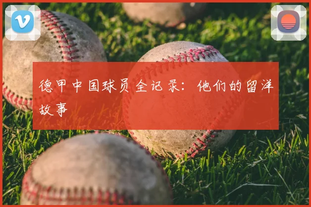 德甲中国球员全记录：他们的留洋故事